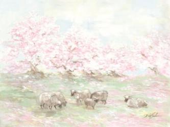 Sheep in Spring | Obraz na stenu