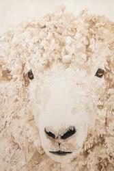 Woolly | Obraz na stenu