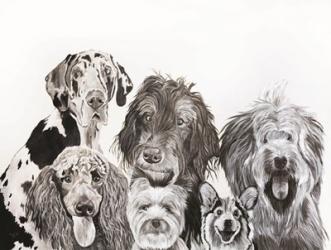 Lots of Dogs | Obraz na stenu