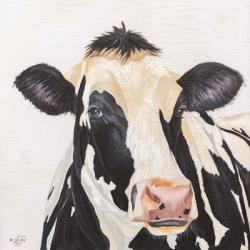 Holstein Cow | Obraz na stenu