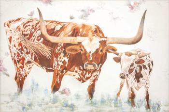 Longhorn and Calf | Obraz na stenu