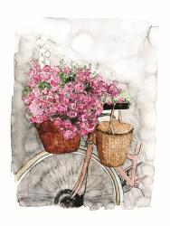 Bicycle in Spring | Obraz na stenu