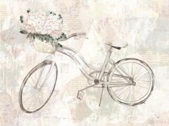 Bicycle Dream | Obraz na stenu