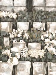 Rows of Flowers | Obraz na stenu