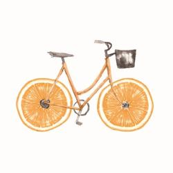 Orange Bike | Obraz na stenu