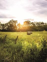 Daybreak in the Country I | Obraz na stenu