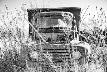 Truck in Wildflower Field | Obraz na stenu