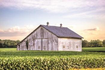 Rural Ohio Barn | Obraz na stenu