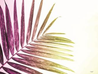 Rainbow Leaf | Obraz na stenu