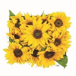 Sunflower Bouquet | Obraz na stenu