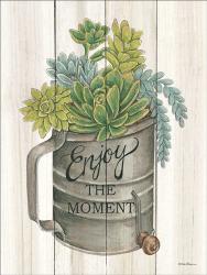 Enjoy the Moment Succulents | Obraz na stenu