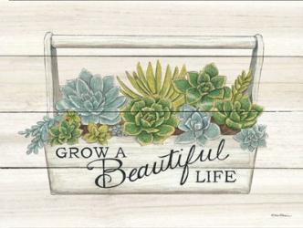 Beautiful Life Succulents | Obraz na stenu