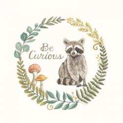Be Curious Raccoon | Obraz na stenu