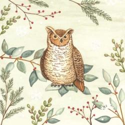 Woodland Animals Owl | Obraz na stenu