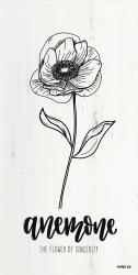 Anemone - the Flower of Sincerity | Obraz na stenu