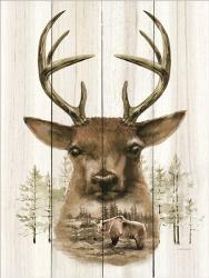 Deer Wilderness Portrait | Obraz na stenu