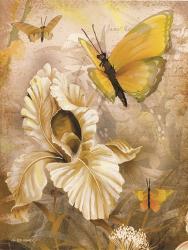 Flower & Butterflies I | Obraz na stenu