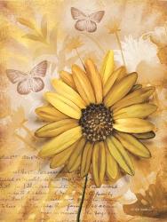 Flower & Butterflies II | Obraz na stenu