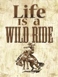 Life is a Wild Ride | Obraz na stenu