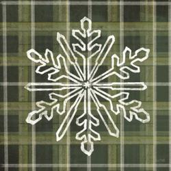 Green Plaid Snowflakes | Obraz na stenu