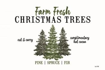 Christmas Tree Farm | Obraz na stenu