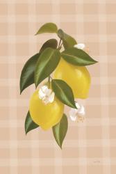 Lemon Botanical I | Obraz na stenu