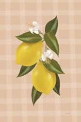 Lemon Botanical II | Obraz na stenu