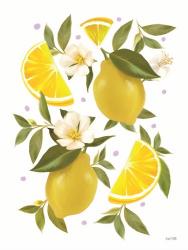 Citrus Lemon Botanical | Obraz na stenu