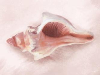 Conch Shell Blush II | Obraz na stenu