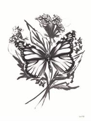Black & White Butterfly | Obraz na stenu