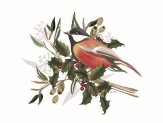 Christmas Songbird II | Obraz na stenu