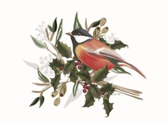 Christmas Songbird II | Obraz na stenu