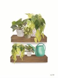 Plant Lover Shelves | Obraz na stenu