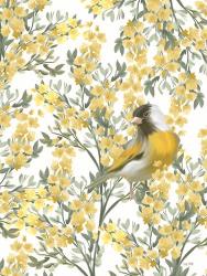 Yellow Spring Finch | Obraz na stenu