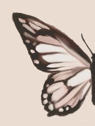 Butterfly Wings I | Obraz na stenu