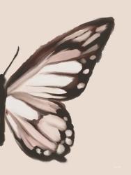 Butterfly Wings II | Obraz na stenu