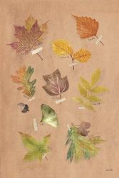Autumn Leaves | Obraz na stenu