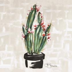 Blooming Cactus | Obraz na stenu