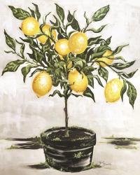 Lemon Tree | Obraz na stenu