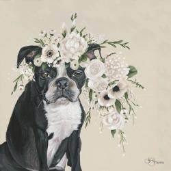Dog and Flower | Obraz na stenu