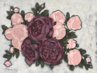 English Roses | Obraz na stenu