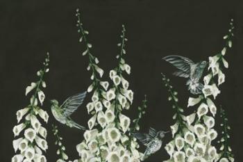 Hummingbirds | Obraz na stenu