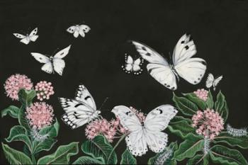 Butterflies | Obraz na stenu