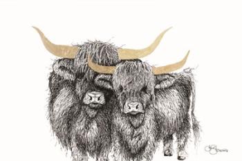 Highland Cattle | Obraz na stenu