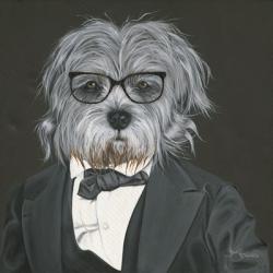 Dog in Suit | Obraz na stenu