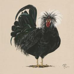 Chicken | Obraz na stenu