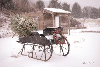 Grandpa's Sleigh | Obraz na stenu