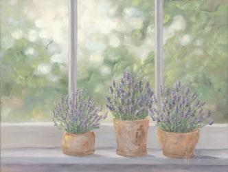 Lavender Pots | Obraz na stenu