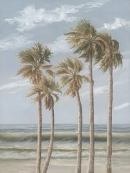 Wind in the Palms | Obraz na stenu