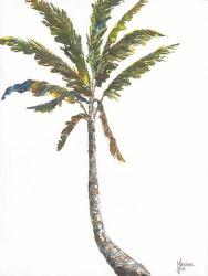 Palm I | Obraz na stenu